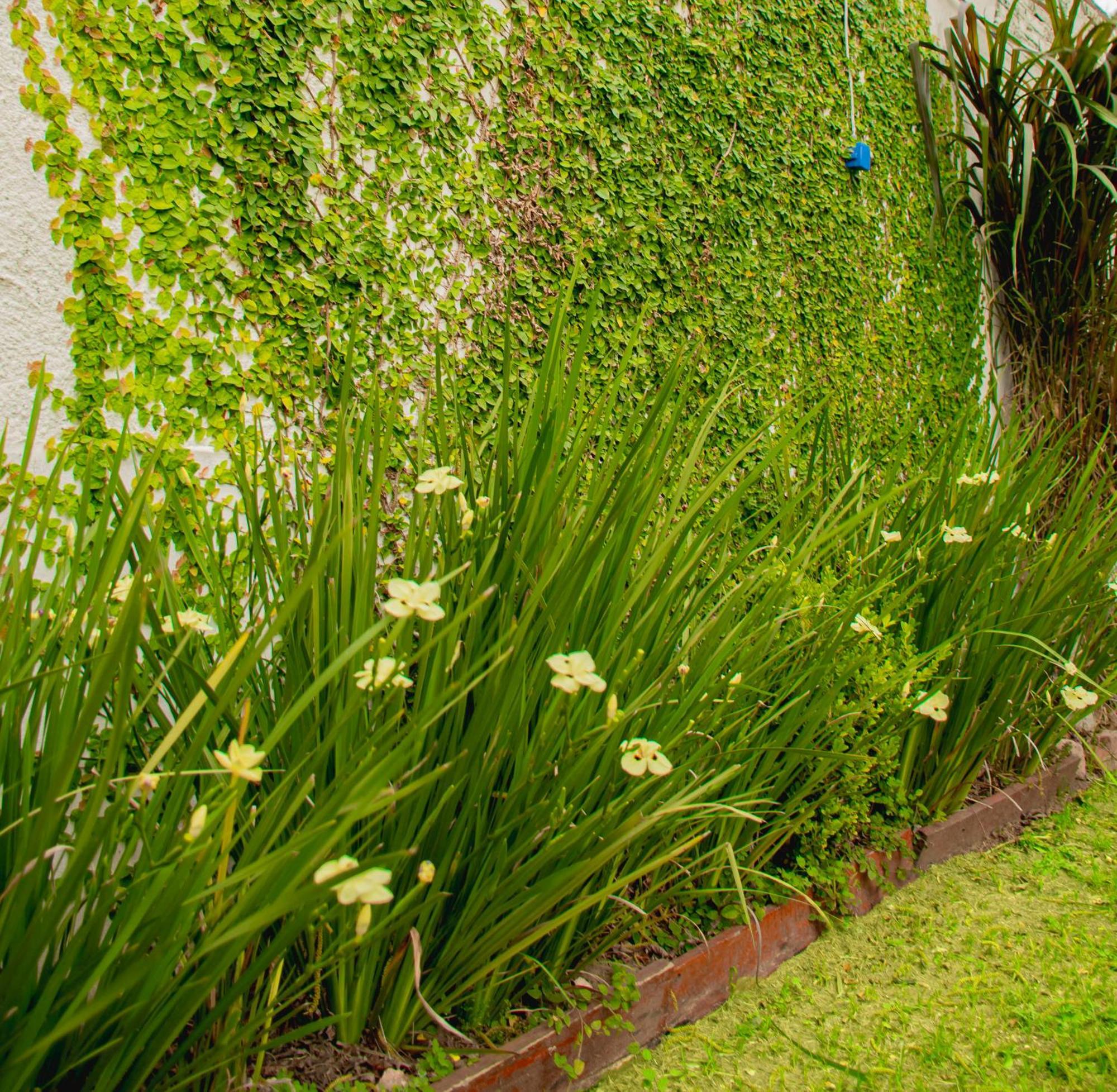 Vina Apartment Villa Elisa  Exterior photo